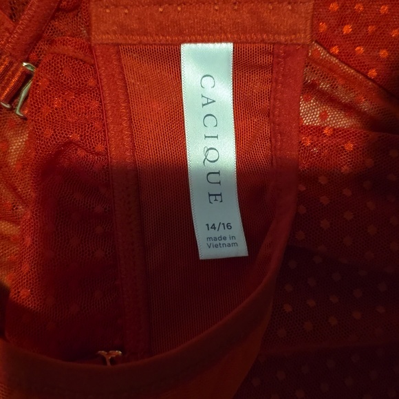 Cacique Scarlet Mesh Intimate Wear - Picture 3 of 3